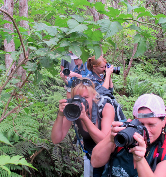 Artist Huakaʻi 2025