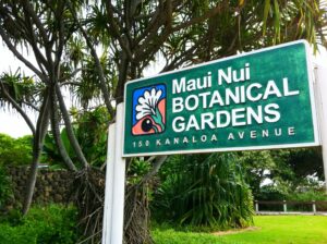 Maui Nui Botanical gardens