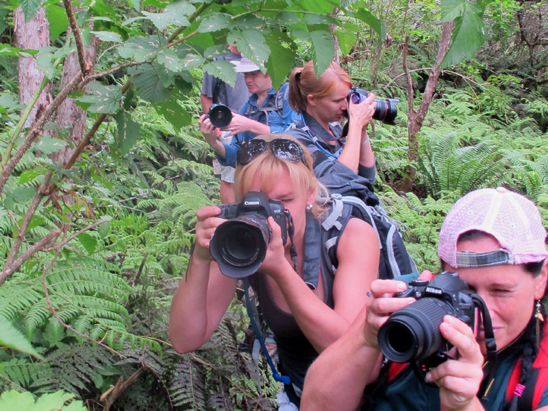 Photographers in forest