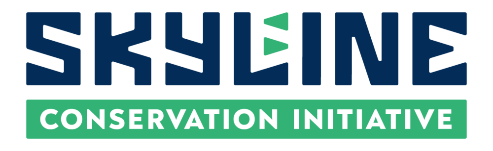 Skyline Logo
