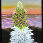 Isabella Kusch-Young Haleakalā Silversword in Bloom