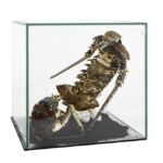 Ati Mella-Reiss &ndash; Clash of the Crustaceans