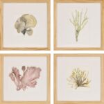 Gwen Arkin &ndash; Red, Green, Brown A Study of Hawaiian Limu (Quadtriptych)