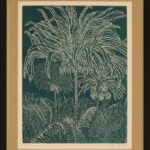 Jennifer Thackray &ndash; Cyanea glabra; Haha