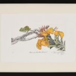 Kimberly Dubsky &ndash; When the Wiliwili Blooms