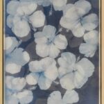 Rebecca Krannichfeld &ndash; Hibiscus