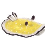 Shelly Lehman &ndash; Send Nudis