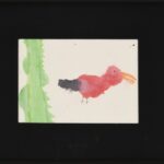 Valerie B.C. &ndash; ʻIʻiwi