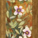 Vicky Robinson &ndash; Geranium cuneatum